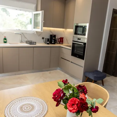 Aroma Zia Residences アパート Lagoúdi Zía